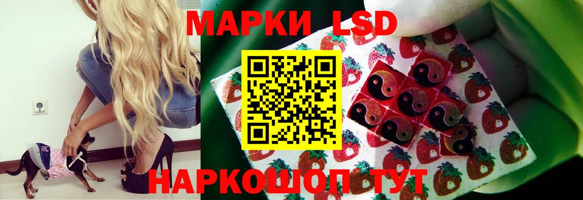 Гуково  LSD-25 экстази  Вход с VPN  Лсд 25 экстази кислота  ЛСД экстази кислота 